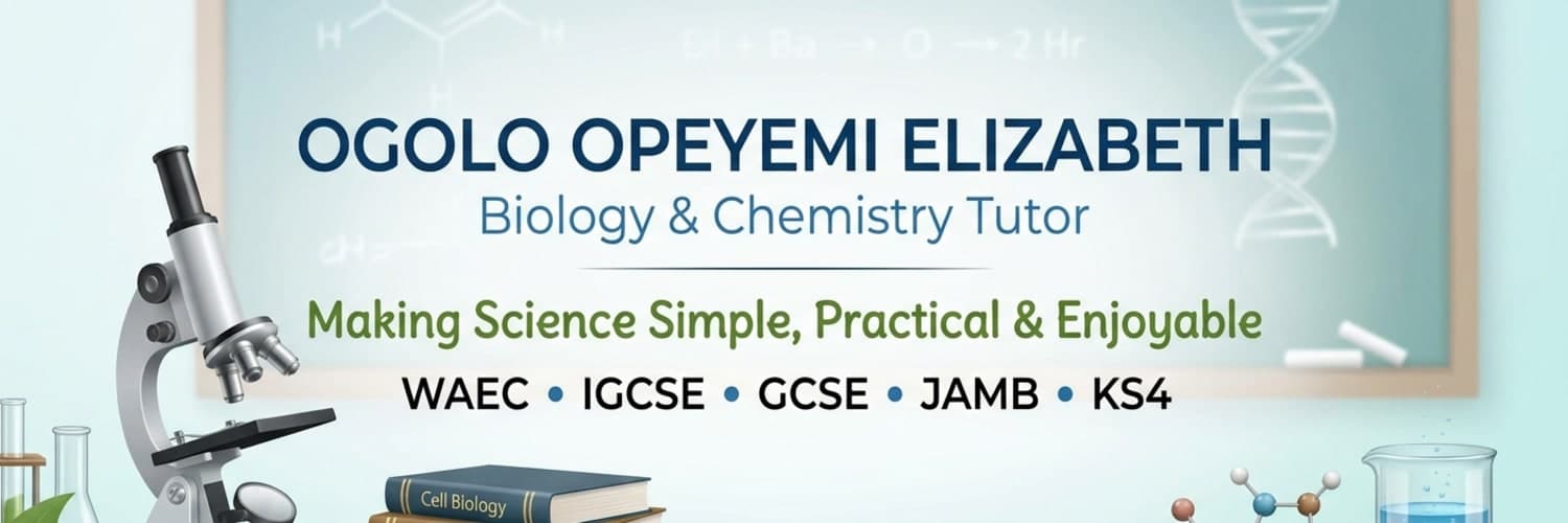 Ogolo Opeyemi Elizabeth's profile banner